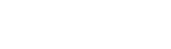 Bondi Guru